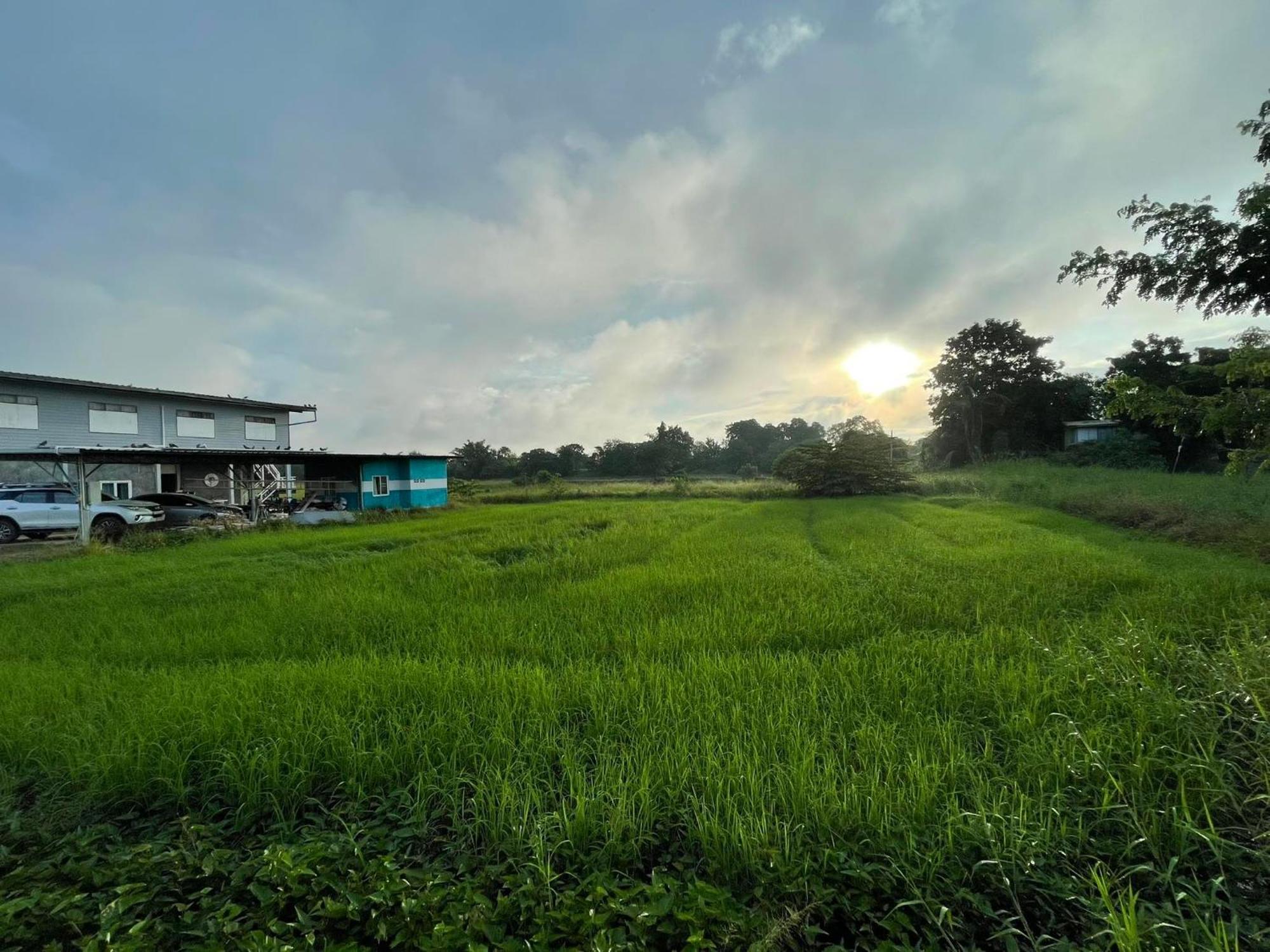 Srihome ยายศรีโฮมแอนแคมป์ปิ้ง Ban Don Tum Exterior photo